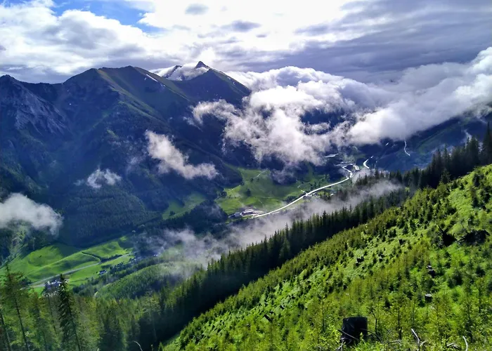 Bluemelhube Elisabeth